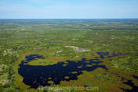 aerial;aerial-image;aerial-images;aerial-photo;aerial-photograph;aerial-photographs;aerial-photography;aerial-photos;aerial-view;aerial-views;aerials;Africa;Botswana;delta;deltas;Endorheic-basin;flood-plain;flood-plains;flood_plain;flood_plains;floodplain;floodplains;inland-delta;internal-drainage-systems;Okavango;Okavango-Delta;Okavango-Swamp;plain;plains;pond;ponds;river-delta;Seven-Natural-Wonders-of-Africa;Southern-Africa;swamp;swampland;swamps;water