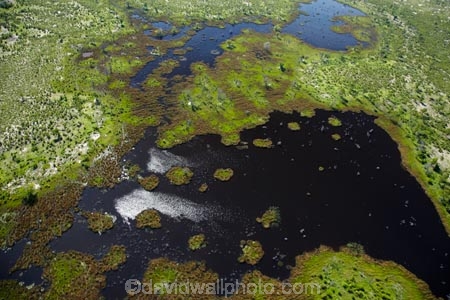 aerial;aerial-image;aerial-images;aerial-photo;aerial-photograph;aerial-photographs;aerial-photography;aerial-photos;aerial-view;aerial-views;aerials;Africa;Botswana;delta;deltas;Endorheic-basin;flood-plain;flood-plains;flood_plain;flood_plains;floodplain;floodplains;inland-delta;internal-drainage-systems;Okavango;Okavango-Delta;Okavango-Swamp;plain;plains;pond;ponds;river-delta;Seven-Natural-Wonders-of-Africa;Southern-Africa;swamp;swampland;swamps;water