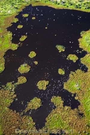 aerial;aerial-image;aerial-images;aerial-photo;aerial-photograph;aerial-photographs;aerial-photography;aerial-photos;aerial-view;aerial-views;aerials;Africa;Botswana;delta;deltas;Endorheic-basin;flood-plain;flood-plains;flood_plain;flood_plains;floodplain;floodplains;inland-delta;internal-drainage-systems;Okavango;Okavango-Delta;Okavango-Swamp;plain;plains;pond;ponds;river-delta;Seven-Natural-Wonders-of-Africa;Southern-Africa;swamp;swampland;swamps;water