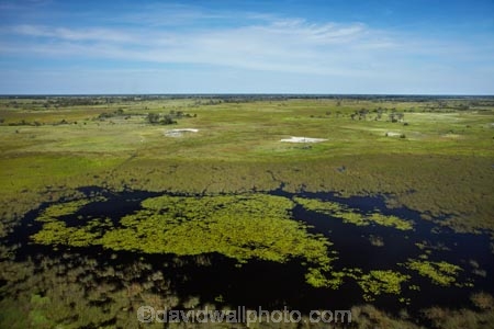 aerial;aerial-image;aerial-images;aerial-photo;aerial-photograph;aerial-photographs;aerial-photography;aerial-photos;aerial-view;aerial-views;aerials;Africa;Botswana;delta;deltas;Endorheic-basin;flood-plain;flood-plains;flood_plain;flood_plains;floodplain;floodplains;inland-delta;internal-drainage-systems;Okavango;Okavango-Delta;Okavango-Swamp;plain;plains;pond;ponds;river-delta;Seven-Natural-Wonders-of-Africa;Southern-Africa;swamp;swampland;swamps;water
