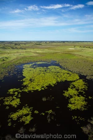 aerial;aerial-image;aerial-images;aerial-photo;aerial-photograph;aerial-photographs;aerial-photography;aerial-photos;aerial-view;aerial-views;aerials;Africa;Botswana;delta;deltas;Endorheic-basin;flood-plain;flood-plains;flood_plain;flood_plains;floodplain;floodplains;inland-delta;internal-drainage-systems;Okavango;Okavango-Delta;Okavango-Swamp;plain;plains;pond;ponds;river-delta;Seven-Natural-Wonders-of-Africa;Southern-Africa;swamp;swampland;swamps;water