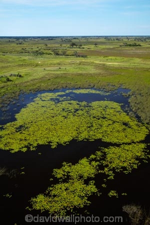 aerial;aerial-image;aerial-images;aerial-photo;aerial-photograph;aerial-photographs;aerial-photography;aerial-photos;aerial-view;aerial-views;aerials;Africa;Botswana;delta;deltas;Endorheic-basin;flood-plain;flood-plains;flood_plain;flood_plains;floodplain;floodplains;inland-delta;internal-drainage-systems;Okavango;Okavango-Delta;Okavango-Swamp;plain;plains;pond;ponds;river-delta;Seven-Natural-Wonders-of-Africa;Southern-Africa;swamp;swampland;swamps;water
