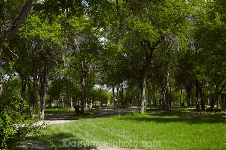 Africa;Botswana;Camp;Camp-Ground;Camp-Grounds;Camp-Site;Camp-Sites;Camping;Camping-Area;Camping-Areas;Camping-Ground;Camping-Grounds;Camping-Site;Camping-Sites;national-park;national-parks;Nxai-Pan-N.P.;Nxai-Pan-National-Park;Nxai-Pan-NP;Nxai-Pan-South-Camp;Nxai-South-Camp;South-Camp;Southern-Africa
