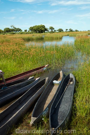 Africa;African;boat;boats;Botswana;canoe;canoes;delta;deltas;dugout;dugout-canoe;dugout-canoes;dugouts;Endorheic-basin;inland-delta;internal-drainage-systems;logboat;makoro;makoros;mekoro;mekoros;mokoro;mokoro-safari;Mokoros;Okavango;Okavango-Delta;Okavango-Swamp;pirogue;pirogues;river-delta;safari;safaris;Seven-Natural-Wonders-of-Africa;Southern-Africa