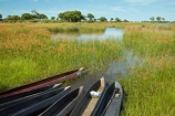 Africa;African;boat;boats;Botswana;canoe;canoes;delta;deltas;dugout;dugout-canoe;dugout-canoes;dugouts;Endorheic-basin;inland-delta;internal-drainage-systems;logboat;makoro;makoros;mekoro;mekoros;mokoro;mokoro-safari;Mokoros;Okavango;Okavango-Delta;Okavango-Swamp;pirogue;pirogues;river-delta;safari;safaris;Seven-Natural-Wonders-of-Africa;Southern-Africa