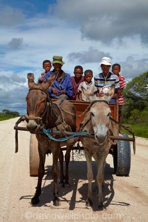 3rd-world;Africa;African;Africans;boy;boys;C44-road;cart;carts;donkey;donkey-cart;donkey-carts;donkeys;families;family;gravel-road;gravel-roads;man;men;metal-road;metal-roads;metalled-road;metalled-roads;Namibia;Otjozondjupa-District;Otjozondjupa-Region;people;person;poor;poverty;road;roads;Southern-Africa;third-world;transport;transportation;Tsumkwe;waggon;waggons;wagon;wagons