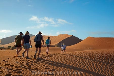 adventure;adventurous;Africa;African;arid;big-dunes;Dead-vlei;Deadvlei;desert;deserts;dry;dune;dunes;giant-dune;giant-dunes;giant-sand-dune;giant-sand-dunes;holiday;holidays;hot;huge-dunes;large-dunes;Namib-Desert;Namib-Naukluft-N.P.;Namib-Naukluft-National-Park;Namib-Naukluft-NP;Namib_Naukluft-N.P.;Namib_Naukluft-National-Park;Namib_Naukluft-NP;Namibia;national-park;national-parks;natural;orange-sand;people;person;remote;remoteness;reserve;reserves;sand;sand-dune;sand-dunes;sand-hill;sand-hills;sand_dune;sand_dunes;sand_hill;sand_hills;sanddune;sanddunes;sandhill;sandhills;sandy;Sossusvlei;Southern-Africa;tourism;tourist;tourists;wilderness