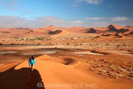adventure;adventurous;Africa;African;arid;big-dunes;Dead-vlei;Deadvlei;desert;deserts;dry;dune;dunes;giant-dune;giant-dunes;giant-sand-dune;giant-sand-dunes;holiday;holidays;hot;huge-dunes;large-dunes;Namib-Desert;Namib-Naukluft-N.P.;Namib-Naukluft-National-Park;Namib-Naukluft-NP;Namib_Naukluft-N.P.;Namib_Naukluft-National-Park;Namib_Naukluft-NP;Namibia;national-park;national-parks;natural;orange-sand;people;person;remote;remoteness;reserve;reserves;sand;sand-dune;sand-dunes;sand-hill;sand-hills;sand_dune;sand_dunes;sand_hill;sand_hills;sanddune;sanddunes;sandhill;sandhills;sandy;Sossusvlei;Southern-Africa;tourism;tourist;tourists;wilderness