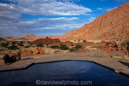 707-road;Africa;D707-road;Fest-Inn-Fels-Farm-Lodge;Fest-Inn-Fels-Lodge;Koiimasis;Koiimasis-Lodge;Namib-Desert;Namibia;people;person;pool;pools;Ranch-Koiimasis;Ranch-Koiimasis-Lodge;Southern-Africa;swim;swimming-pool;swimming-pools;Tiras-Mountains;Tiras-Mountains-Conservancy