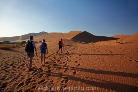 Africa;arid;big-dunes;children;Dead-vlei;Deadvlei;desert;deserts;dry;dune;dunes;families;family;family-holiday;family-holidays;giant-dune;giant-dunes;giant-sand-dune;giant-sand-dunes;holiday;holidays;hot;huge-dunes;large-dunes;Namib-Desert;Namib-Naukluft-N.P.;Namib-Naukluft-National-Park;Namib-Naukluft-NP;Namib_Naukluft-N.P.;Namib_Naukluft-National-Park;Namib_Naukluft-NP;Namibia;national-park;national-parks;natural;orange-sand;people;person;remote;remoteness;reserve;reserves;sand;sand-dune;sand-dunes;sand-hill;sand-hills;sand_dune;sand_dunes;sand_hill;sand_hills;sanddune;sanddunes;sandhill;sandhills;sandy;Sossusvlei;Southern-Africa;tourism;tourist;tourists;wilderness