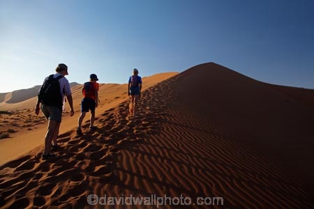 Africa;arid;big-dunes;children;Dead-vlei;Deadvlei;desert;deserts;dry;dune;dunes;families;family;family-holiday;family-holidays;giant-dune;giant-dunes;giant-sand-dune;giant-sand-dunes;holiday;holidays;hot;huge-dunes;large-dunes;Namib-Desert;Namib-Naukluft-N.P.;Namib-Naukluft-National-Park;Namib-Naukluft-NP;Namib_Naukluft-N.P.;Namib_Naukluft-National-Park;Namib_Naukluft-NP;Namibia;national-park;national-parks;natural;orange-sand;people;person;remote;remoteness;reserve;reserves;sand;sand-dune;sand-dunes;sand-hill;sand-hills;sand_dune;sand_dunes;sand_hill;sand_hills;sanddune;sanddunes;sandhill;sandhills;sandy;Sossusvlei;Southern-Africa;tourism;tourist;tourists;wilderness