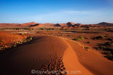 Africa;arid;big-dunes;Dead-vlei;Deadvlei;desert;deserts;dry;dune;dunes;giant-dune;giant-dunes;giant-sand-dune;giant-sand-dunes;hot;huge-dunes;large-dunes;Namib-Desert;Namib-Naukluft-N.P.;Namib-Naukluft-National-Park;Namib-Naukluft-NP;Namib_Naukluft-N.P.;Namib_Naukluft-National-Park;Namib_Naukluft-NP;Namibia;national-park;national-parks;natural;orange-sand;remote;remoteness;reserve;reserves;sand;sand-dune;sand-dunes;sand-hill;sand-hills;sand_dune;sand_dunes;sand_hill;sand_hills;sanddune;sanddunes;sandhill;sandhills;sandy;Sossusvlei;Southern-Africa;wilderness