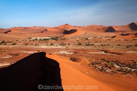 Africa;arid;big-dunes;Dead-vlei;Deadvlei;desert;deserts;dry;dune;dunes;giant-dune;giant-dunes;giant-sand-dune;giant-sand-dunes;hot;huge-dunes;large-dunes;Namib-Desert;Namib-Naukluft-N.P.;Namib-Naukluft-National-Park;Namib-Naukluft-NP;Namib_Naukluft-N.P.;Namib_Naukluft-National-Park;Namib_Naukluft-NP;Namibia;national-park;national-parks;natural;orange-sand;remote;remoteness;reserve;reserves;sand;sand-dune;sand-dunes;sand-hill;sand-hills;sand_dune;sand_dunes;sand_hill;sand_hills;sanddune;sanddunes;sandhill;sandhills;sandy;Sossusvlei;Southern-Africa;wilderness