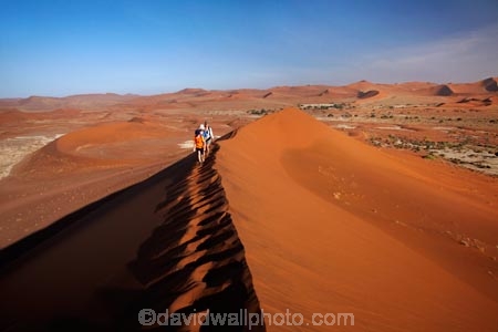 adventure;adventurous;Africa;arid;big-dunes;children;Dead-vlei;Deadvlei;desert;deserts;dry;dune;dunes;families;family;family-holiday;family-holidays;giant-dune;giant-dunes;giant-sand-dune;giant-sand-dunes;holiday;holidays;hot;huge-dunes;large-dunes;Namib-Desert;Namib-Naukluft-N.P.;Namib-Naukluft-National-Park;Namib-Naukluft-NP;Namib_Naukluft-N.P.;Namib_Naukluft-National-Park;Namib_Naukluft-NP;Namibia;national-park;national-parks;natural;orange-sand;people;person;remote;remoteness;reserve;reserves;sand;sand-dune;sand-dunes;sand-hill;sand-hills;sand_dune;sand_dunes;sand_hill;sand_hills;sanddune;sanddunes;sandhill;sandhills;sandy;Sossusvlei;Southern-Africa;tourism;tourist;tourists;wilderness