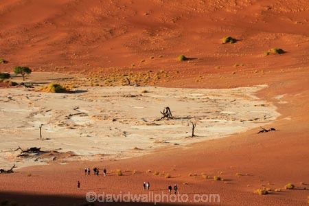 adventure;adventurous;Africa;arid;big-dunes;children;Dead-vlei;Deadvlei;desert;deserts;dry;dry-lake;dry-lake-bed;dry-lake-beds;dry-lakes;dune;dunes;families;family;giant-dune;giant-dunes;giant-sand-dune;giant-sand-dunes;holiday;holidays;hot;huge-dunes;lake-bed;large-dunes;Namib-Desert;Namib-Naukluft-N.P.;Namib-Naukluft-National-Park;Namib-Naukluft-NP;Namib_Naukluft-N.P.;Namib_Naukluft-National-Park;Namib_Naukluft-NP;Namibia;national-park;national-parks;natural;orange-sand;people;person;remote;remoteness;reserve;reserves;sand;sand-dune;sand-dunes;sand-hill;sand-hills;sand_dune;sand_dunes;sand_hill;sand_hills;sanddune;sanddunes;sandhill;sandhills;sandy;Sossusvlei;Southern-Africa;tourism;tourist;tourists;wilderness