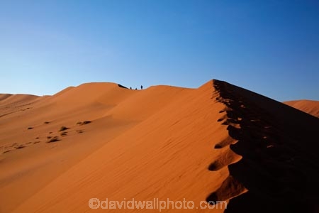 Africa;arid;big-dunes;children;Dead-vlei;Deadvlei;desert;deserts;dry;dune;dunes;families;family;family-holiday;family-holidays;giant-dune;giant-dunes;giant-sand-dune;giant-sand-dunes;holiday;holidays;hot;huge-dunes;large-dunes;Namib-Desert;Namib-Naukluft-N.P.;Namib-Naukluft-National-Park;Namib-Naukluft-NP;Namib_Naukluft-N.P.;Namib_Naukluft-National-Park;Namib_Naukluft-NP;Namibia;national-park;national-parks;natural;orange-sand;people;person;remote;remoteness;reserve;reserves;sand;sand-dune;sand-dunes;sand-hill;sand-hills;sand_dune;sand_dunes;sand_hill;sand_hills;sanddune;sanddunes;sandhill;sandhills;sandy;Sossusvlei;Southern-Africa;tourism;tourist;tourists;wilderness