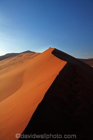 Africa;arid;big-dunes;children;Dead-vlei;Deadvlei;desert;deserts;dry;dune;dunes;families;family;family-holiday;family-holidays;giant-dune;giant-dunes;giant-sand-dune;giant-sand-dunes;holiday;holidays;hot;huge-dunes;large-dunes;Namib-Desert;Namib-Naukluft-N.P.;Namib-Naukluft-National-Park;Namib-Naukluft-NP;Namib_Naukluft-N.P.;Namib_Naukluft-National-Park;Namib_Naukluft-NP;Namibia;national-park;national-parks;natural;orange-sand;people;person;remote;remoteness;reserve;reserves;sand;sand-dune;sand-dunes;sand-hill;sand-hills;sand_dune;sand_dunes;sand_hill;sand_hills;sanddune;sanddunes;sandhill;sandhills;sandy;Sossusvlei;Southern-Africa;tourism;tourist;tourists;wilderness