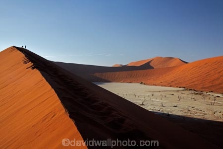 adventure;adventurous;Africa;arid;big-dunes;children;clay-pan;clay-pans;Dead-Vlei;Deadvlei;desert;deserts;dry;dune;dunes;families;family;family-holiday;family-holidays;giant-dune;giant-dunes;giant-sand-dune;giant-sand-dunes;holiday;holidays;hot;huge-dunes;large-dunes;Namib-Desert;Namib-Naukluft-N.P.;Namib-Naukluft-National-Park;Namib-Naukluft-NP;Namib_Naukluft-N.P.;Namib_Naukluft-National-Park;Namib_Naukluft-NP;Namibia;national-park;national-parks;natural;orange-sand;pan;people;person;remote;remoteness;reserve;reserves;salt-pan;salt-pans;sand;sand-dune;sand-dunes;sand-hill;sand-hills;sand_dune;sand_dunes;sand_hill;sand_hills;sanddune;sanddunes;sandhill;sandhills;sandy;Sossusvlei;Southern-Africa;tourism;tourist;tourists;vlei;white-clay-pan;wilderness