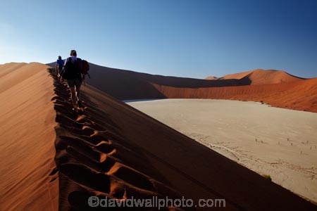 adventure;adventurous;Africa;arid;big-dunes;children;clay-pan;clay-pans;Dead-Vlei;Deadvlei;desert;deserts;dry;dune;dunes;families;family;family-holiday;family-holidays;giant-dune;giant-dunes;giant-sand-dune;giant-sand-dunes;holiday;holidays;hot;huge-dunes;large-dunes;Namib-Desert;Namib-Naukluft-N.P.;Namib-Naukluft-National-Park;Namib-Naukluft-NP;Namib_Naukluft-N.P.;Namib_Naukluft-National-Park;Namib_Naukluft-NP;Namibia;national-park;national-parks;natural;orange-sand;pan;people;person;remote;remoteness;reserve;reserves;salt-pan;salt-pans;sand;sand-dune;sand-dunes;sand-hill;sand-hills;sand_dune;sand_dunes;sand_hill;sand_hills;sanddune;sanddunes;sandhill;sandhills;sandy;Sossusvlei;Southern-Africa;tourism;tourist;tourists;vlei;white-clay-pan;wilderness