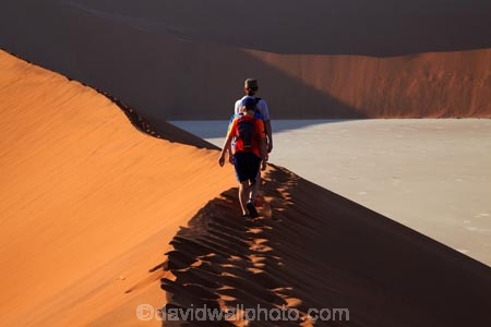 adventure;adventurous;Africa;arid;big-dunes;children;clay-pan;clay-pans;Dead-Vlei;Deadvlei;desert;deserts;dry;dune;dunes;families;family;family-holiday;family-holidays;giant-dune;giant-dunes;giant-sand-dune;giant-sand-dunes;holiday;holidays;hot;huge-dunes;large-dunes;Namib-Desert;Namib-Naukluft-N.P.;Namib-Naukluft-National-Park;Namib-Naukluft-NP;Namib_Naukluft-N.P.;Namib_Naukluft-National-Park;Namib_Naukluft-NP;Namibia;national-park;national-parks;natural;orange-sand;pan;people;person;remote;remoteness;reserve;reserves;salt-pan;salt-pans;sand;sand-dune;sand-dunes;sand-hill;sand-hills;sand_dune;sand_dunes;sand_hill;sand_hills;sanddune;sanddunes;sandhill;sandhills;sandy;Sossusvlei;Southern-Africa;tourism;tourist;tourists;vlei;white-clay-pan;wilderness