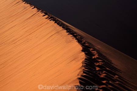 Africa;arid;big-dunes;Dead-vlei;Deadvlei;desert;deserts;dry;dune;dunes;foot-print;foot-prints;footprint;footprints;giant-dune;giant-dunes;giant-sand-dune;giant-sand-dunes;hot;huge-dunes;large-dunes;Namib-Desert;Namib-Naukluft-N.P.;Namib-Naukluft-National-Park;Namib-Naukluft-NP;Namib_Naukluft-N.P.;Namib_Naukluft-National-Park;Namib_Naukluft-NP;Namibia;national-park;national-parks;natural;orange-sand;remote;remoteness;reserve;reserves;sand;sand-dune;sand-dunes;sand-hill;sand-hills;sand_dune;sand_dunes;sand_hill;sand_hills;sanddune;sanddunes;sandhill;sandhills;sandy;Sossusvlei;Southern-Africa;wilderness