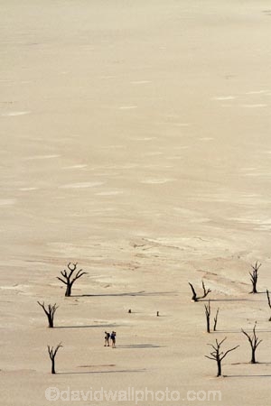 900-year-old-trees;adventure;adventurous;Africa;clay-pan;clay-pans;dead-tree;dead-trees;Dead-Vlei;Deadvlei;desert;deserts;dry-lake;dry-lake-bed;dry-lake-beds;dry-lakes;lake-bed;mammal;Namib-Desert;Namib-Naukluft-N.P.;Namib-Naukluft-National-Park;Namib-Naukluft-NP;Namib_Naukluft-N.P.;Namib_Naukluft-National-Park;Namib_Naukluft-NP;Namibia;national-park;national-parks;pan;people;person;photographer;photographers;reserve;reserves;salt-pan;salt-pans;Sossusvlei;Southern-Africa;tourism;tourist;tourists;tree-trunk;tree-trunks;vlei;white-clay-pan;white-pan