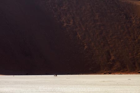 adventure;adventurous;Africa;arid;big-dunes;clay-pan;clay-pans;Dead-Vlei;Deadvlei;desert;deserts;dry;dry-lake;dry-lake-bed;dry-lake-beds;dry-lakes;dune;dunes;giant-dune;giant-dunes;giant-sand-dune;giant-sand-dunes;hot;huge-dunes;lake-bed;large-dunes;Namib-Desert;Namib-Naukluft-N.P.;Namib-Naukluft-National-Park;Namib-Naukluft-NP;Namib_Naukluft-N.P.;Namib_Naukluft-National-Park;Namib_Naukluft-NP;Namibia;national-park;national-parks;natural;pan;people;person;remote;remoteness;reserve;reserves;salt-pan;salt-pans;sand;sand-dune;sand-dunes;sand-hill;sand-hills;sand_dune;sand_dunes;sand_hill;sand_hills;sanddune;sanddunes;sandhill;sandhills;sandy;Sossusvlei;Southern-Africa;tourism;tourist;tourists;vlei;white-clay-pan;wilderness