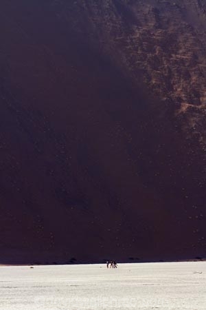 adventure;adventurous;Africa;arid;big-dunes;clay-pan;clay-pans;Dead-Vlei;Deadvlei;desert;deserts;dry;dry-lake;dry-lake-bed;dry-lake-beds;dry-lakes;dune;dunes;giant-dune;giant-dunes;giant-sand-dune;giant-sand-dunes;hot;huge-dunes;lake-bed;large-dunes;Namib-Desert;Namib-Naukluft-N.P.;Namib-Naukluft-National-Park;Namib-Naukluft-NP;Namib_Naukluft-N.P.;Namib_Naukluft-National-Park;Namib_Naukluft-NP;Namibia;national-park;national-parks;natural;pan;people;person;remote;remoteness;reserve;reserves;salt-pan;salt-pans;sand;sand-dune;sand-dunes;sand-hill;sand-hills;sand_dune;sand_dunes;sand_hill;sand_hills;sanddune;sanddunes;sandhill;sandhills;sandy;Sossusvlei;Southern-Africa;tourism;tourist;tourists;vlei;white-clay-pan;wilderness