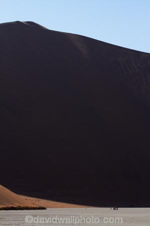 adventure;adventurous;Africa;arid;big-dunes;clay-pan;clay-pans;Dead-Vlei;Deadvlei;desert;deserts;dry;dry-lake;dry-lake-bed;dry-lake-beds;dry-lakes;dune;dunes;giant-dune;giant-dunes;giant-sand-dune;giant-sand-dunes;hot;huge-dunes;lake-bed;large-dunes;Namib-Desert;Namib-Naukluft-N.P.;Namib-Naukluft-National-Park;Namib-Naukluft-NP;Namib_Naukluft-N.P.;Namib_Naukluft-National-Park;Namib_Naukluft-NP;Namibia;national-park;national-parks;natural;pan;people;person;remote;remoteness;reserve;reserves;salt-pan;salt-pans;sand;sand-dune;sand-dunes;sand-hill;sand-hills;sand_dune;sand_dunes;sand_hill;sand_hills;sanddune;sanddunes;sandhill;sandhills;sandy;Sossusvlei;Southern-Africa;tourism;tourist;tourists;vlei;white-clay-pan;wilderness