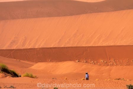 Africa;arid;big-dunes;Dead-vlei;Deadvlei;desert;deserts;dry;dune;dunes;giant-dune;giant-dunes;giant-sand-dune;giant-sand-dunes;hot;huge-dunes;large-dunes;Namib-Desert;Namib-Naukluft-N.P.;Namib-Naukluft-National-Park;Namib-Naukluft-NP;Namib_Naukluft-N.P.;Namib_Naukluft-National-Park;Namib_Naukluft-NP;Namibia;national-park;national-parks;natural;orange-sand;people;person;remote;remoteness;reserve;reserves;sand;sand-dune;sand-dunes;sand-hill;sand-hills;sand_dune;sand_dunes;sand_hill;sand_hills;sanddune;sanddunes;sandhill;sandhills;sandy;Sossusvlei;Southern-Africa;tourism;tourist;tourists;wilderness