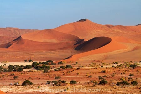 4x4-park;Africa;arid;big-dunes;car-park;car-parks;desert;deserts;dry;dune;dunes;giant-dune;giant-dunes;giant-sand-dune;giant-sand-dunes;hot;huge-dunes;large-dunes;Namib-Desert;Namib-Naukluft-N.P.;Namib-Naukluft-National-Park;Namib-Naukluft-NP;Namib_Naukluft-N.P.;Namib_Naukluft-National-Park;Namib_Naukluft-NP;Namibia;national-park;national-parks;natural;orange-sand;people;person;remote;remoteness;reserve;reserves;sand;sand-dune;sand-dunes;sand-hill;sand-hills;sand_dune;sand_dunes;sand_hill;sand_hills;sanddune;sanddunes;sandhill;sandhills;sandy;Sossusvlei;Southern-Africa;tourism;tourist;tourists;wilderness
