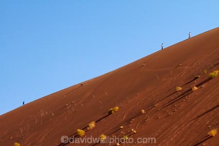 Africa;arid;big-dunes;Dead-vlei;Deadvlei;desert;deserts;dry;dune;dunes;giant-dune;giant-dunes;giant-sand-dune;giant-sand-dunes;hot;huge-dunes;large-dunes;Namib-Desert;Namib-Naukluft-N.P.;Namib-Naukluft-National-Park;Namib-Naukluft-NP;Namib_Naukluft-N.P.;Namib_Naukluft-National-Park;Namib_Naukluft-NP;Namibia;national-park;national-parks;natural;orange-sand;people;person;remote;remoteness;reserve;reserves;sand;sand-dune;sand-dunes;sand-hill;sand-hills;sand_dune;sand_dunes;sand_hill;sand_hills;sanddune;sanddunes;sandhill;sandhills;sandy;Sossusvlei;Southern-Africa;tourism;tourist;tourists;wilderness