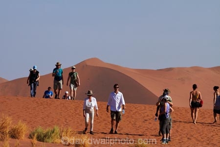 Africa;arid;big-dunes;Dead-vlei;Deadvlei;desert;deserts;dry;dune;dunes;giant-dune;giant-dunes;giant-sand-dune;giant-sand-dunes;hot;huge-dunes;large-dunes;Namib-Desert;Namib-Naukluft-N.P.;Namib-Naukluft-National-Park;Namib-Naukluft-NP;Namib_Naukluft-N.P.;Namib_Naukluft-National-Park;Namib_Naukluft-NP;Namibia;national-park;national-parks;natural;orange-sand;people;person;remote;remoteness;reserve;reserves;sand;sand-dune;sand-dunes;sand-hill;sand-hills;sand_dune;sand_dunes;sand_hill;sand_hills;sanddune;sanddunes;sandhill;sandhills;sandy;Sossusvlei;Southern-Africa;tourism;tourist;tourists;wilderness