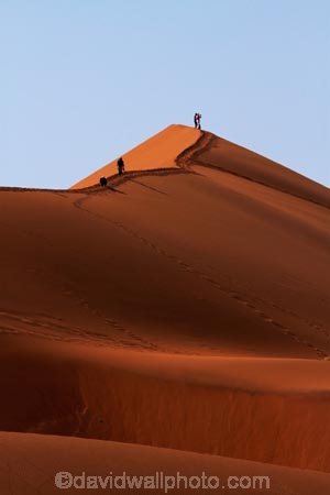 Africa;arid;big-dunes;Dead-vlei;Deadvlei;desert;deserts;dry;dune;dunes;giant-dune;giant-dunes;giant-sand-dune;giant-sand-dunes;hot;huge-dunes;large-dunes;Namib-Desert;Namib-Naukluft-N.P.;Namib-Naukluft-National-Park;Namib-Naukluft-NP;Namib_Naukluft-N.P.;Namib_Naukluft-National-Park;Namib_Naukluft-NP;Namibia;national-park;national-parks;natural;orange-sand;people;person;remote;remoteness;reserve;reserves;sand;sand-dune;sand-dunes;sand-hill;sand-hills;sand_dune;sand_dunes;sand_hill;sand_hills;sanddune;sanddunes;sandhill;sandhills;sandy;Sossusvlei;Southern-Africa;tourism;tourist;tourists;wilderness