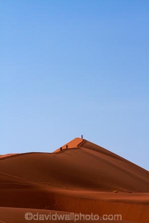 Africa;arid;big-dunes;Dead-vlei;Deadvlei;desert;deserts;dry;dune;dunes;giant-dune;giant-dunes;giant-sand-dune;giant-sand-dunes;hot;huge-dunes;large-dunes;Namib-Desert;Namib-Naukluft-N.P.;Namib-Naukluft-National-Park;Namib-Naukluft-NP;Namib_Naukluft-N.P.;Namib_Naukluft-National-Park;Namib_Naukluft-NP;Namibia;national-park;national-parks;natural;orange-sand;people;person;remote;remoteness;reserve;reserves;sand;sand-dune;sand-dunes;sand-hill;sand-hills;sand_dune;sand_dunes;sand_hill;sand_hills;sanddune;sanddunes;sandhill;sandhills;sandy;Sossusvlei;Southern-Africa;tourism;tourist;tourists;wilderness