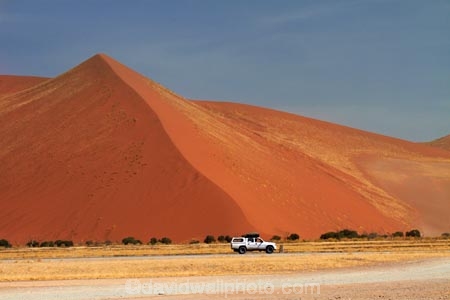 4wd;4wds;4wds;4x4;4x4s;4x4s;Africa;arid;big-dunes;Bushlore;Bushlore-4x4;Bushlore-4x4-camper;camper;campers;desert;deserts;double-cab-hilux;dry;dune;Dune-45;Dune-Forty-Five;dunes;four-by-four;four-by-fours;four-wheel-drive;four-wheel-drives;giant-dune;giant-dunes;giant-sand-dune;giant-sand-dunes;Hilux;hilux-camper;Hiluxes;hot;huge-dunes;large-dunes;Namib-Desert;Namib-Naukluft-N.P.;Namib-Naukluft-National-Park;Namib-Naukluft-NP;Namib_Naukluft-N.P.;Namib_Naukluft-National-Park;Namib_Naukluft-NP;Namibia;national-park;national-parks;natural;orange-sand;remote;remoteness;reserve;reserves;roof-tent;roof-tents;sand;sand-dune;sand-dunes;sand-hill;sand-hills;sand_dune;sand_dunes;sand_hill;sand_hills;sanddune;sanddunes;sandhill;sandhills;sandy;Southern-Africa;sports-utility-vehicle;sports-utility-vehicles;suv;suvs;Toyota;toyota-camper;Toyota-Hilux;Toyota-Hiluxes;Toyotas;twin-cab-hilux;vehicle;vehicles;wilderness