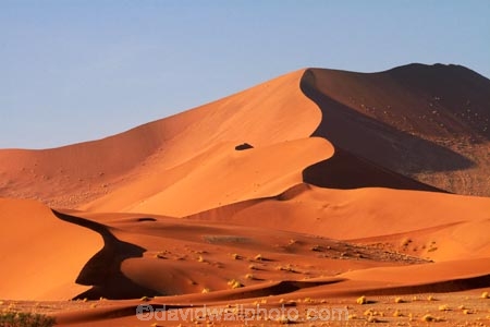 Africa;arid;big-dunes;curve;curves;desert;deserts;dry;dune;dunes;giant-dune;giant-dunes;giant-sand-dune;giant-sand-dunes;hot;huge-dunes;large-dunes;Namib-Desert;Namib-Naukluft-N.P.;Namib-Naukluft-National-Park;Namib-Naukluft-NP;Namib_Naukluft-N.P.;Namib_Naukluft-National-Park;Namib_Naukluft-NP;Namibia;national-park;national-parks;natural;orange-sand;remote;remoteness;reserve;reserves;sand;sand-dune;sand-dunes;sand-hill;sand-hills;sand_dune;sand_dunes;sand_hill;sand_hills;sanddune;sanddunes;sandhill;sandhills;sandy;Southern-Africa;wilderness