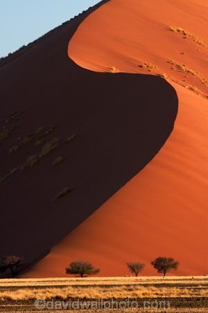 Africa;arid;big-dunes;curve;curves;desert;deserts;dry;dune;dunes;giant-dune;giant-dunes;giant-sand-dune;giant-sand-dunes;hot;huge-dunes;large-dunes;Namib-Desert;Namib-Naukluft-N.P.;Namib-Naukluft-National-Park;Namib-Naukluft-NP;Namib_Naukluft-N.P.;Namib_Naukluft-National-Park;Namib_Naukluft-NP;Namibia;national-park;national-parks;natural;orange-sand;remote;remoteness;reserve;reserves;sand;sand-dune;sand-dunes;sand-hill;sand-hills;sand_dune;sand_dunes;sand_hill;sand_hills;sanddune;sanddunes;sandhill;sandhills;sandy;Southern-Africa;wilderness
