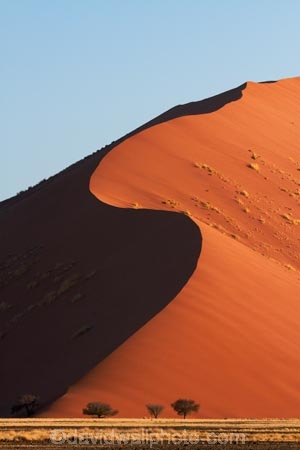 Africa;arid;big-dunes;curve;curves;desert;deserts;dry;dune;dunes;giant-dune;giant-dunes;giant-sand-dune;giant-sand-dunes;hot;huge-dunes;large-dunes;Namib-Desert;Namib-Naukluft-N.P.;Namib-Naukluft-National-Park;Namib-Naukluft-NP;Namib_Naukluft-N.P.;Namib_Naukluft-National-Park;Namib_Naukluft-NP;Namibia;national-park;national-parks;natural;orange-sand;remote;remoteness;reserve;reserves;sand;sand-dune;sand-dunes;sand-hill;sand-hills;sand_dune;sand_dunes;sand_hill;sand_hills;sanddune;sanddunes;sandhill;sandhills;sandy;Southern-Africa;wilderness