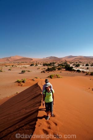 Africa;arid;big-dunes;children;desert;deserts;dry;dune;dunes;families;family;family-holiday;family-holidays;giant-dune;giant-dunes;giant-sand-dune;giant-sand-dunes;holiday;holidays;hot;huge-dunes;large-dunes;Namib-Desert;Namib-Naukluft-N.P.;Namib-Naukluft-National-Park;Namib-Naukluft-NP;Namib_Naukluft-N.P.;Namib_Naukluft-National-Park;Namib_Naukluft-NP;Namibia;national-park;national-parks;natural;orange-sand;people;person;remote;remoteness;reserve;reserves;sand;sand-dune;sand-dunes;sand-hill;sand-hills;sand_dune;sand_dunes;sand_hill;sand_hills;sanddune;sanddunes;sandhill;sandhills;sandy;Sossusvlei;Southern-Africa;tourism;tourist;tourists;wilderness