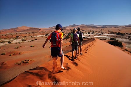 Africa;arid;big-dunes;children;desert;deserts;dry;dune;dunes;families;family;family-holiday;family-holidays;giant-dune;giant-dunes;giant-sand-dune;giant-sand-dunes;holiday;holidays;hot;huge-dunes;large-dunes;Namib-Desert;Namib-Naukluft-N.P.;Namib-Naukluft-National-Park;Namib-Naukluft-NP;Namib_Naukluft-N.P.;Namib_Naukluft-National-Park;Namib_Naukluft-NP;Namibia;national-park;national-parks;natural;orange-sand;people;person;remote;remoteness;reserve;reserves;sand;sand-dune;sand-dunes;sand-hill;sand-hills;sand_dune;sand_dunes;sand_hill;sand_hills;sanddune;sanddunes;sandhill;sandhills;sandy;Sossusvlei;Southern-Africa;tourism;tourist;tourists;wilderness