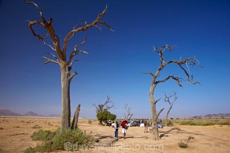 Africa;al-fresco;alfresco;breakfast;dead-tree;dead-trees;desert;deserts;eating;food;meal;Namib-Desert;Namib-Naukluft-N.P.;Namib-Naukluft-National-Park;Namib-Naukluft-NP;Namib-Sky-Balloon-Safaris;Namib_Naukluft-N.P.;Namib_Naukluft-National-Park;Namib_Naukluft-NP;Namibia;Namibsky;national-park;national-parks;outdoors;outside;reserve;reserves;Sesriem;Southern-Africa