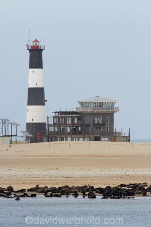 Africa;animal;animals;Arctocephalus-pusillus;Atlantic-Coast;Atlantic-Ocean;beach;beaches;beacon;beacons;boat-cruise;boat-cruises;brown-fur-seal;Cape-Fur-Seal;coast;coastal;coastline;coastlines;coasts;colonies;colony;fur-seal;fur-seals;light;light-house;light-houses;light_house;light_houses;lighthouse;lighthouses;lights;mammal;mammals;Mola-Mola;Mola-Mola-Boat-Tours;Mola-Mola-Safaris;Mola-Mola-Tours;Namibia;Pelican-Point;sandy;seal;seal-colonies;seal-colony;seals;Skeleton-Coast;South-African-fur-seal;South-West-Africa;Southern-Africa;tower;towers;Walfischbai;Walfischbucht;Walvis-Bay;Walvis-Bay-Harbour;Walvisbaai;wildlife