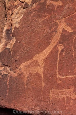 Africa;Ancient-art;ancient-rock-drawings;ancient-rock-etching;ancient-rock-etchings;Bushman-rock-art;Bushman-rock-engravings;Bushman-rock-etchings;Damaraland;giraffe;giraffes;heritage;historic;Historic-Art;historic-place;historic-places;historical;Kunene-District;Kunene-Region;Namib-Desert;Namibia;rock-art;rock-art-painting;rock-art-paintings;rock-drawing;rock-drawings;rock-engraving;rock-engravings;rock-etching;rock-etchings;rock-painting;rock-paintings;San-rock-art;San-rock-etchings;Southern-Africa;tradition;traditional;Twyfelfontein;Twyfelfontein-Rock-Engravings;UN-world-heritage-area;UN-world-heritage-site;UNESCO-World-Heritage-area;UNESCO-World-Heritage-Site;united-nations-world-heritage-area;united-nations-world-heritage-site;world-heritage;world-heritage-area;world-heritage-areas;World-Heritage-Park;World-Heritage-site;World-Heritage-Sites