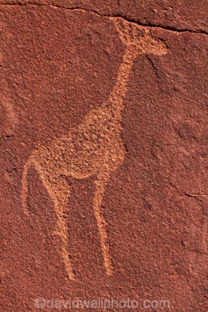 Africa;Ancient-art;ancient-rock-drawings;ancient-rock-etching;ancient-rock-etchings;Bushman-rock-art;Bushman-rock-engravings;Bushman-rock-etchings;Damaraland;giraffe;giraffes;heritage;historic;Historic-Art;historic-place;historic-places;historical;Kunene-District;Kunene-Region;Namib-Desert;Namibia;rock-art;rock-art-painting;rock-art-paintings;rock-drawing;rock-drawings;rock-engraving;rock-engravings;rock-etching;rock-etchings;rock-painting;rock-paintings;San-rock-art;San-rock-etchings;Southern-Africa;tradition;traditional;Twyfelfontein;Twyfelfontein-Rock-Engravings;UN-world-heritage-area;UN-world-heritage-site;UNESCO-World-Heritage-area;UNESCO-World-Heritage-Site;united-nations-world-heritage-area;united-nations-world-heritage-site;world-heritage;world-heritage-area;world-heritage-areas;World-Heritage-Park;World-Heritage-site;World-Heritage-Sites