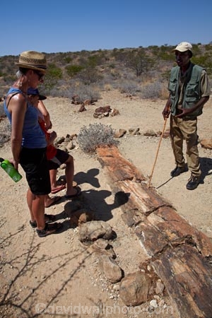 Africa;child;children;Damaraland;families;family;family-holiday;family-holidays;fossil;fossilised-trunks;fossilised-wood;fossilized-wood;fossils;guide;guides;holiday;holidays;Kunene-District;Kunene-Region;Namibia;people;permineralization.;person;petrification;Petrified-Forest;petrified-tree;petrified-trees;petrified-wood;silicification;Southern-Africa;tourism;tourist;tourists;tree-trunk;tree-trunks;wooden-opal