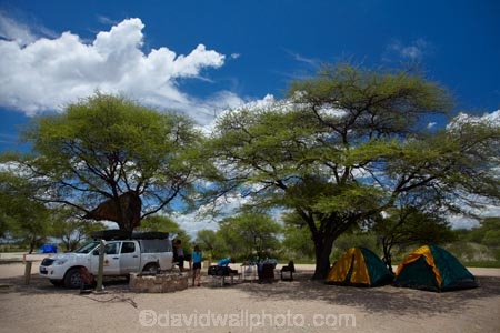 4wd;4wds;4wds;4x4;4x4s;4x4s;Africa;african;big-large;bird-nest;bird-nests;birds-nest;birds-nests;Bushlore;Bushlore-4x4;Bushlore-4x4-camper;Camp;Camp-Ground;Camp-Grounds;Camp-Site;Camp-Sites;camper;campers;campground;campgrounds;Camping;Camping-Area;Camping-Areas;Camping-Ground;Camping-Grounds;Camping-Site;Camping-Sites;Caravan-Park;Caravan-Parks;colonies;colony;communities;community;double-cab-hilux;Etosha-N.P.;Etosha-National-Park;Etosha-NP;flock;four-by-four;four-by-fours;four-wheel-drive;four-wheel-drives;game-park;game-parks;game-reserve;game-reserves;giant-nest;group;Hilux;hilux-camper;Hiluxes;Holiday;Holiday-Park;Holiday-Parks;holidays;home;huge;huge-nest;nambia;Namibia;namibian;national-park;national-parks;nest;nests;Okaukuejo;Okaukuejo-Camp;Okaukuejo-camp-ground;Okaukuejo-camp-site;Okaukuejo-campground;Okaukuejo-campsite;Okaukuejo-Rest-Camp;roof-tent;roof-tents;sociable;Sociable-Weaver-Nest;Sociable-Weavers-Nest;social;Social-Weaver-Nest;Social-Weavers-Nest;Southern-Africa;sports-utility-vehicle;sports-utility-vehicles;suv;suvs;tent;tents;Toyota;toyota-camper;Toyota-Hilux;Toyota-Hiluxes;Toyotas;tree;trees;twin-cab-hilux;vacation;vacations;vehicle;vehicles;weaver;weavers;wildlife-park;wildlife-parks;wildlife-reserve;wildlife-reserves