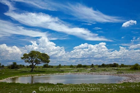 Africa;cloud;clouds;Etosha-N.P.;Etosha-National-Park;Etosha-NP;game-park;game-parks;game-reserve;game-reserves;Namibia;national-park;national-parks;Okaukuejo;Okaukuejo-Camp;Okaukuejo-Rest-Camp;Okaukuejo-waterhole;skies;sky;Southern-Africa;waterhole;waterholes;wildlife-park;wildlife-parks;wildlife-reserve;wildlife-reserves