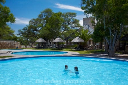 Africa;Etosha-N.P.;Etosha-National-Park;Etosha-NP;game-park;game-parks;game-reserve;game-reserves;Namibia;national-park;national-parks;Okaukuejo;Okaukuejo-Camp;Okaukuejo-Rest-Camp;people;person;pool;pools;Southern-Africa;swim;swimmer;swimmers;swimming-pool;swimming-pools;wildlife-park;wildlife-parks;wildlife-reserve;wildlife-reserves