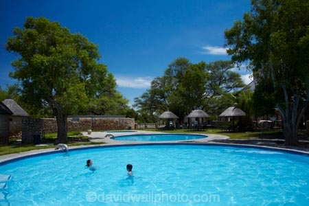 Africa;Etosha-N.P.;Etosha-National-Park;Etosha-NP;game-park;game-parks;game-reserve;game-reserves;Namibia;national-park;national-parks;Okaukuejo;Okaukuejo-Camp;Okaukuejo-Rest-Camp;people;person;pool;pools;Southern-Africa;swim;swimmer;swimmers;swimming-pool;swimming-pools;wildlife-park;wildlife-parks;wildlife-reserve;wildlife-reserves